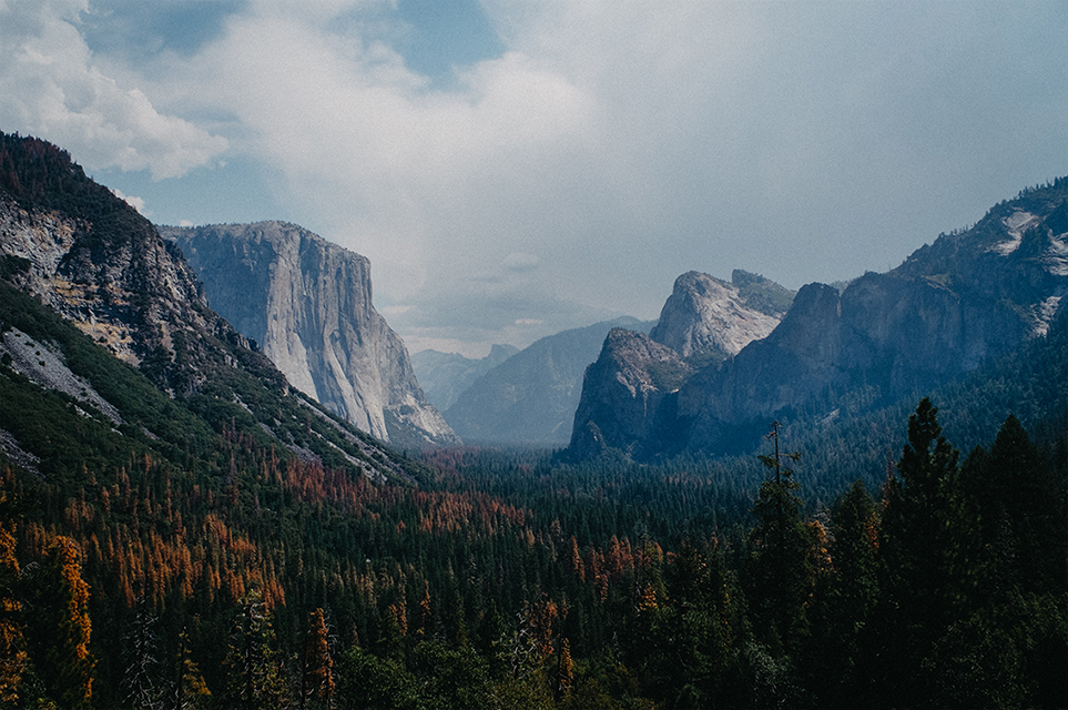 Yosemite park